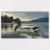 Mallard Duck op het meer Labels (Design 2)