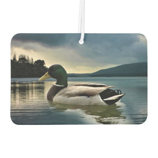 Mallard Duck op het meer Luchtverfrisser (Achterkant)