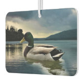 Mallard Duck op het meer Luchtverfrisser (Links)