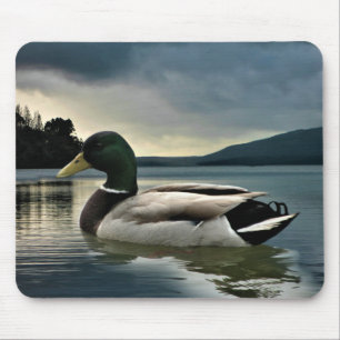 Mallard Duck op het meer Muismat