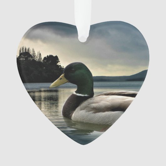 Mallard Duck op het meer Ornament (voorkant)
