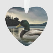 Mallard Duck op het meer Ornament (achterkant)