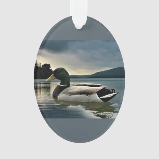Mallard Duck op het meer Ornament (voorkant)