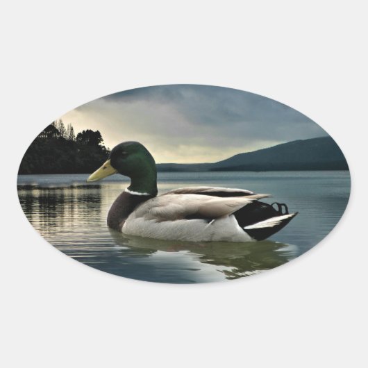 Mallard Duck op het meer Ovale Sticker (Voorkant)