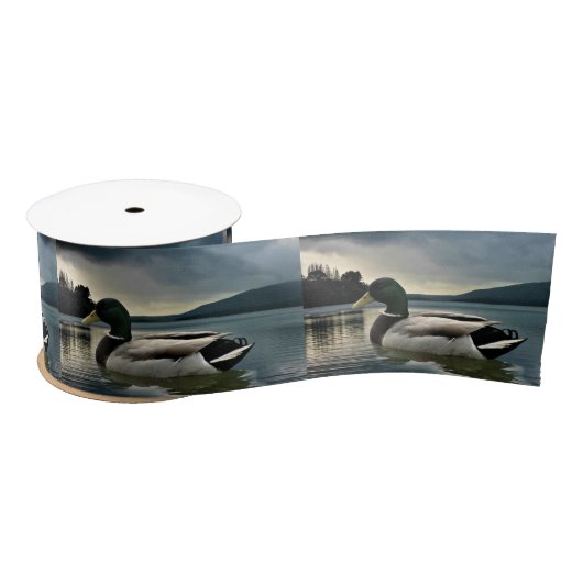 Mallard Duck op het meer Satijnen Lint (Spoel)