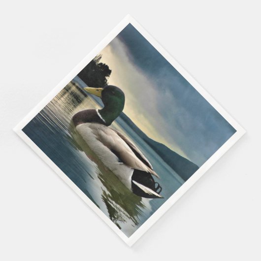 Mallard Duck op het meer Servet (Hoek)