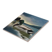 Mallard Duck op het meer Tegeltje (Zijkant)