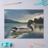 Mallard Duck op het meer Tissuepapier (Craft)