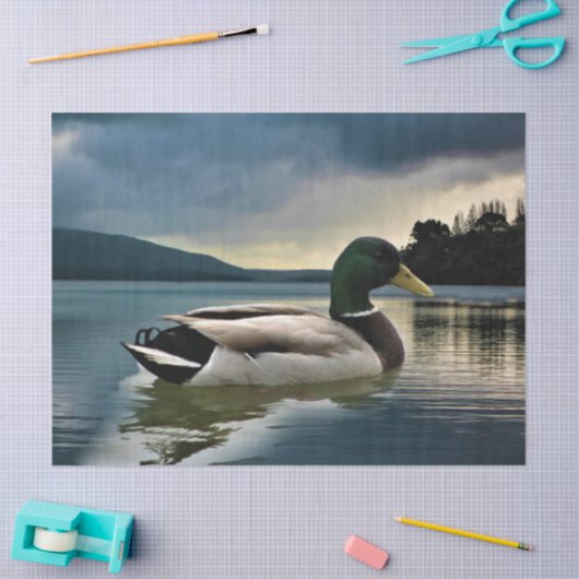 Mallard Duck op het meer Tissuepapier (Craft)