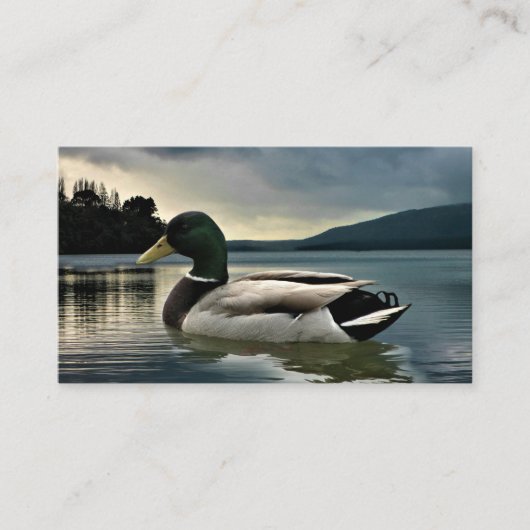 Mallard Duck op het meer Visitekaartje (Voorkant)