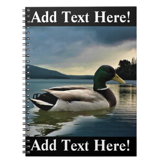 Mallard Duck op het Notitieboek van het meer (Voorkant)
