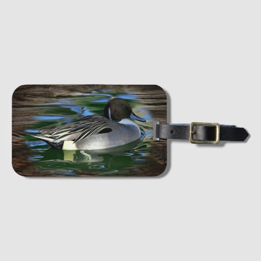Mallard Duck op Lake Bagagelabel (Voorkant (horizontaal))