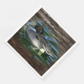 Mallard Duck op Lake Servet (Hoek)