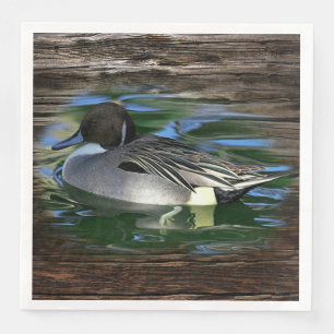 Mallard Duck op Lake Servet