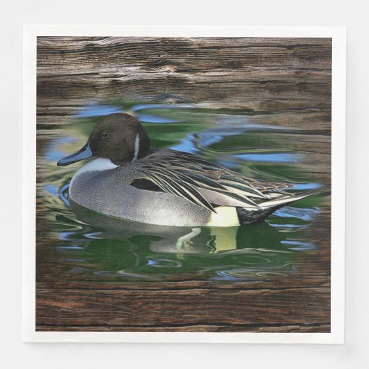 Mallard Duck op Lake Servet (Voorkant)