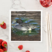 Mallard Duck op Lake Servet (Insitu)
