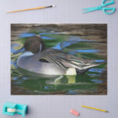 Mallard Duck op Lake Tissuepapier (Craft)