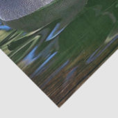 Mallard Duck op Lake Tissuepapier (Detail)