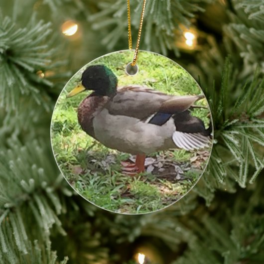 Mallard Duck Ornament (Boom)