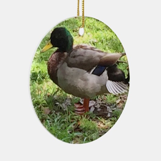 Mallard Duck Ornament (Rechts)