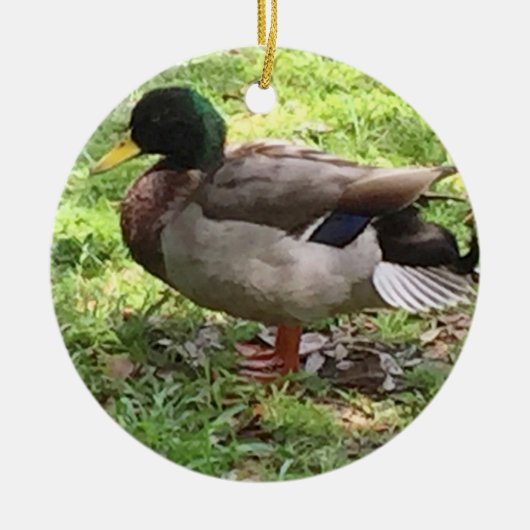 Mallard Duck Ornament (Voorkant)