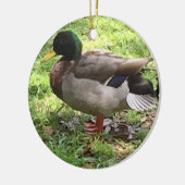Mallard Duck Ornament (Links)