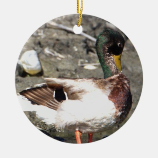 Mallard Duck Ornament (Voorkant)