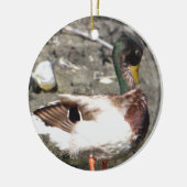 Mallard Duck Ornament (Links)