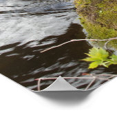 Mallard Duck paar nemen een pauze Poster (Hoek)