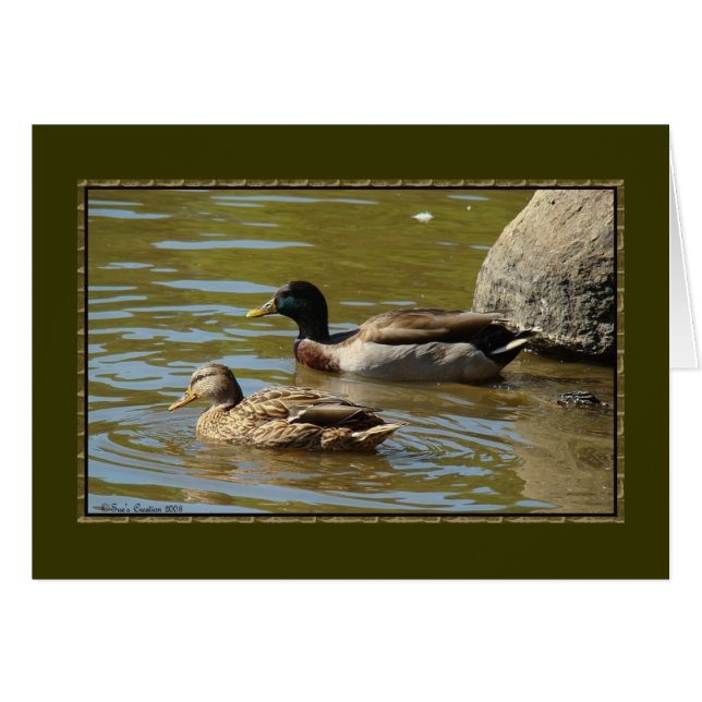 Mallard Duck Pair (Voorkant Horizontaal)