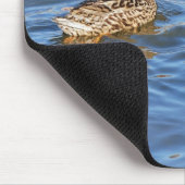 Mallard Duck Pairs Symbolize Love and Commitment Muismat (Hoek)
