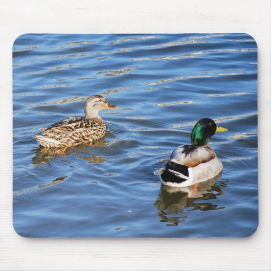 Mallard Duck Pairs Symbolize Love and Commitment Muismat (Voorkant)