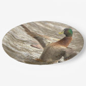 Mallard Duck Paper Plates Papieren Bordje (Gekanteld)