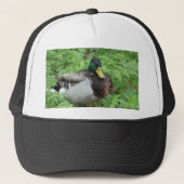 Mallard Duck Pet (Voorkant)