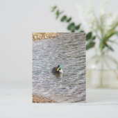Mallard Duck Photo Briefkaart (Staand voorkant)