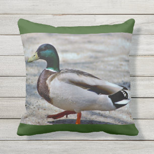 Mallard Duck Photo Buitenkussen