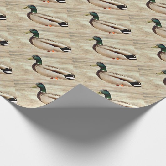 Mallard Duck Photo Cadeaupapier (Hoek)