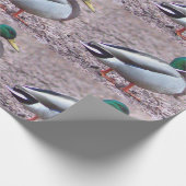 Mallard Duck Photo Cadeaupapier (Hoek)