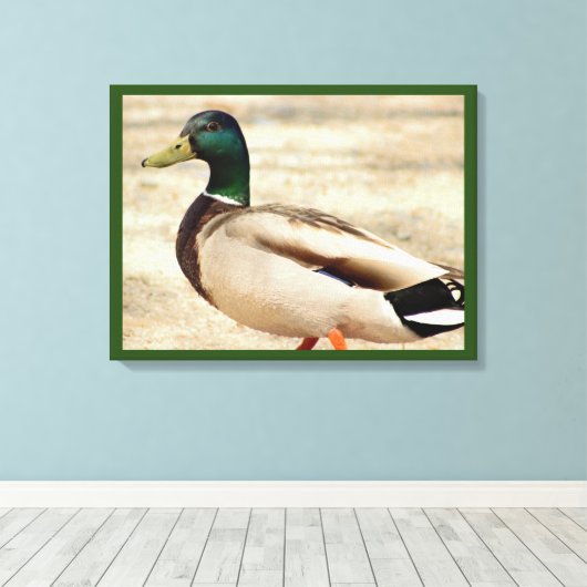 Mallard Duck Photo Canvas Afdruk (Insitu (Houten vloer))