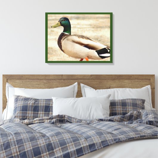Mallard Duck Photo Canvas Afdruk (Insitu (Slaapkamer))