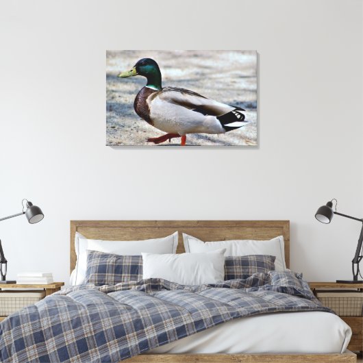 Mallard Duck Photo Canvas Afdruk (Insitu (Slaapkamer))