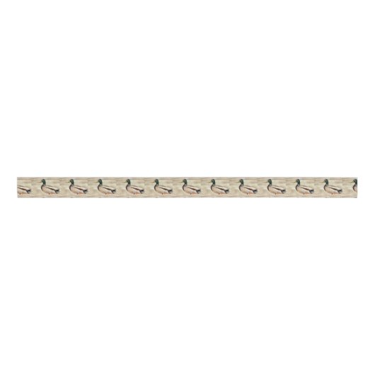 Mallard Duck Photo Grosgrain Lint (Voorkant)