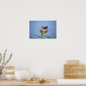 Mallard Duck Photo Poster (Keuken)