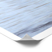 Mallard Duck Photo Poster (Hoek)