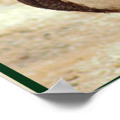 Mallard Duck Photo Poster (Hoek)