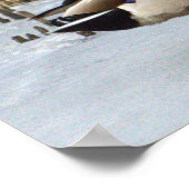 Mallard Duck Photo Poster (Hoek)