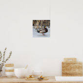 Mallard Duck Photo Poster (Keuken)