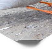 Mallard Duck Photo Poster (Hoek)