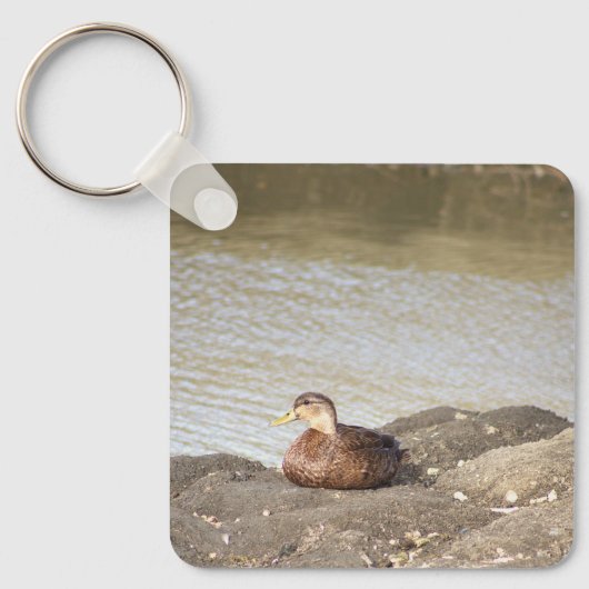 Mallard Duck Photo Sleutelhanger (Voorkant)