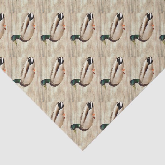 Mallard Duck Photo Tissuepapier (Detail)